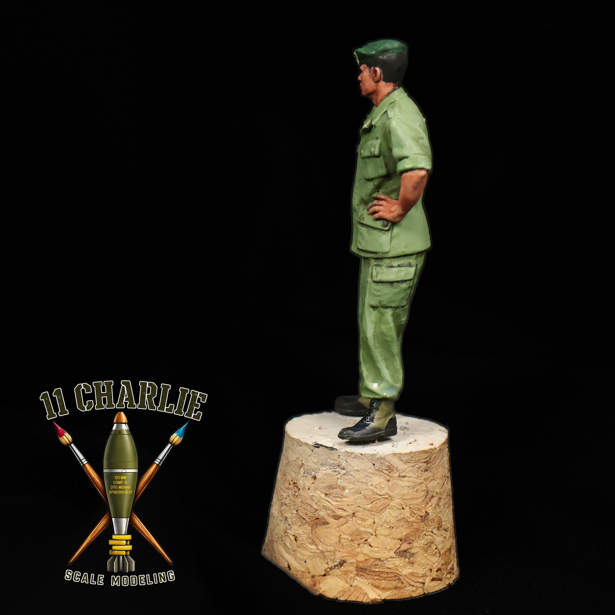 Single US Green Beret Solder, Vietnam Era