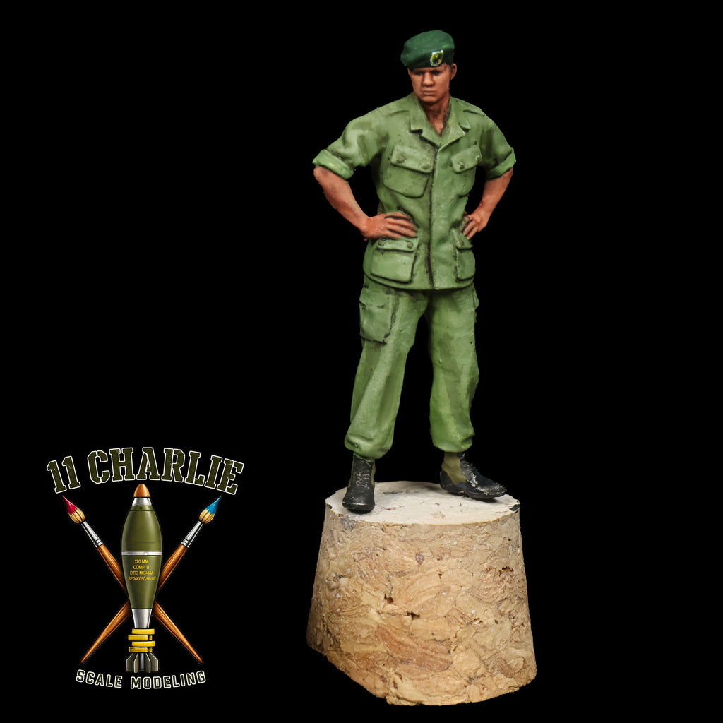 Single US Green Beret Solder, Vietnam Era