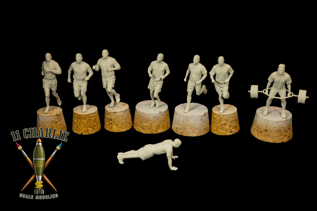 Collection: Group of Drill Sergeants and Soldiers Working Out