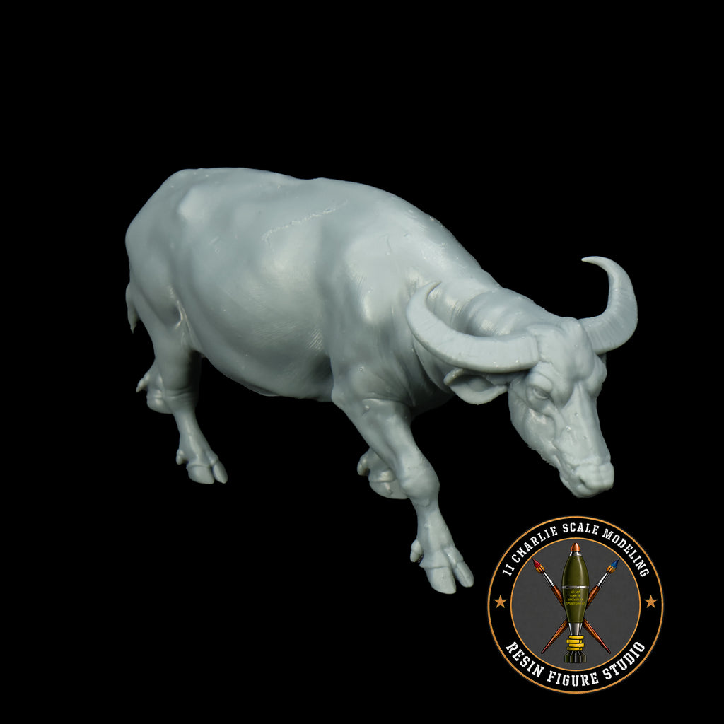 Single Asian Water Buffalo Option 1