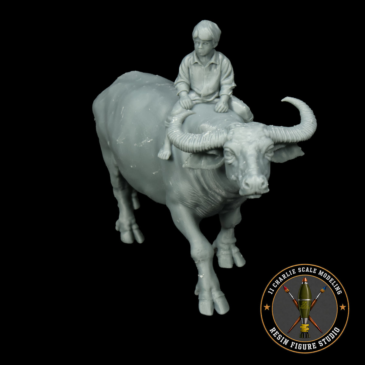 Single Vietnamese Child Riding Water Buffalo