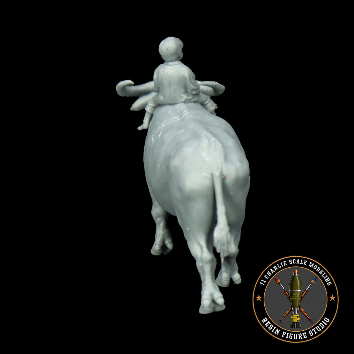 Single Vietnamese Child Riding Water Buffalo