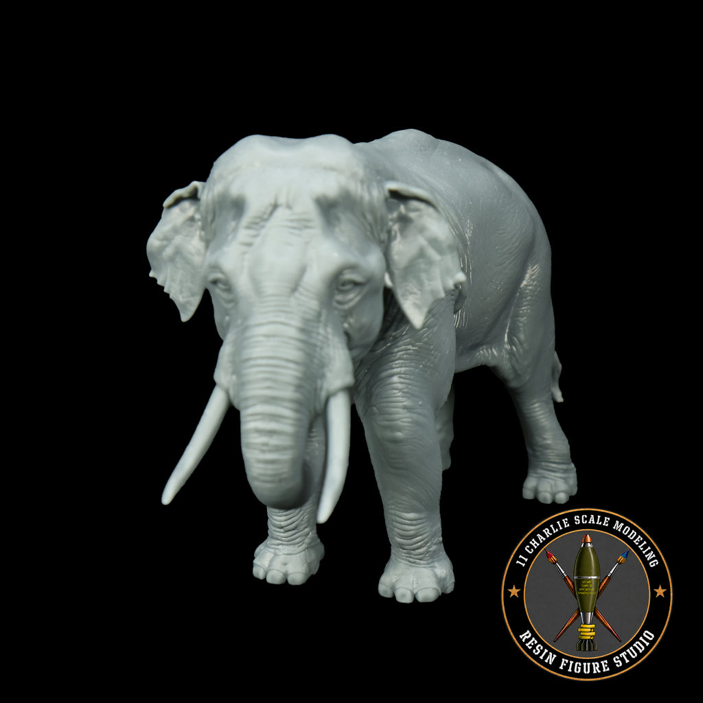 Single Asian Elephant- Neutral Trunk