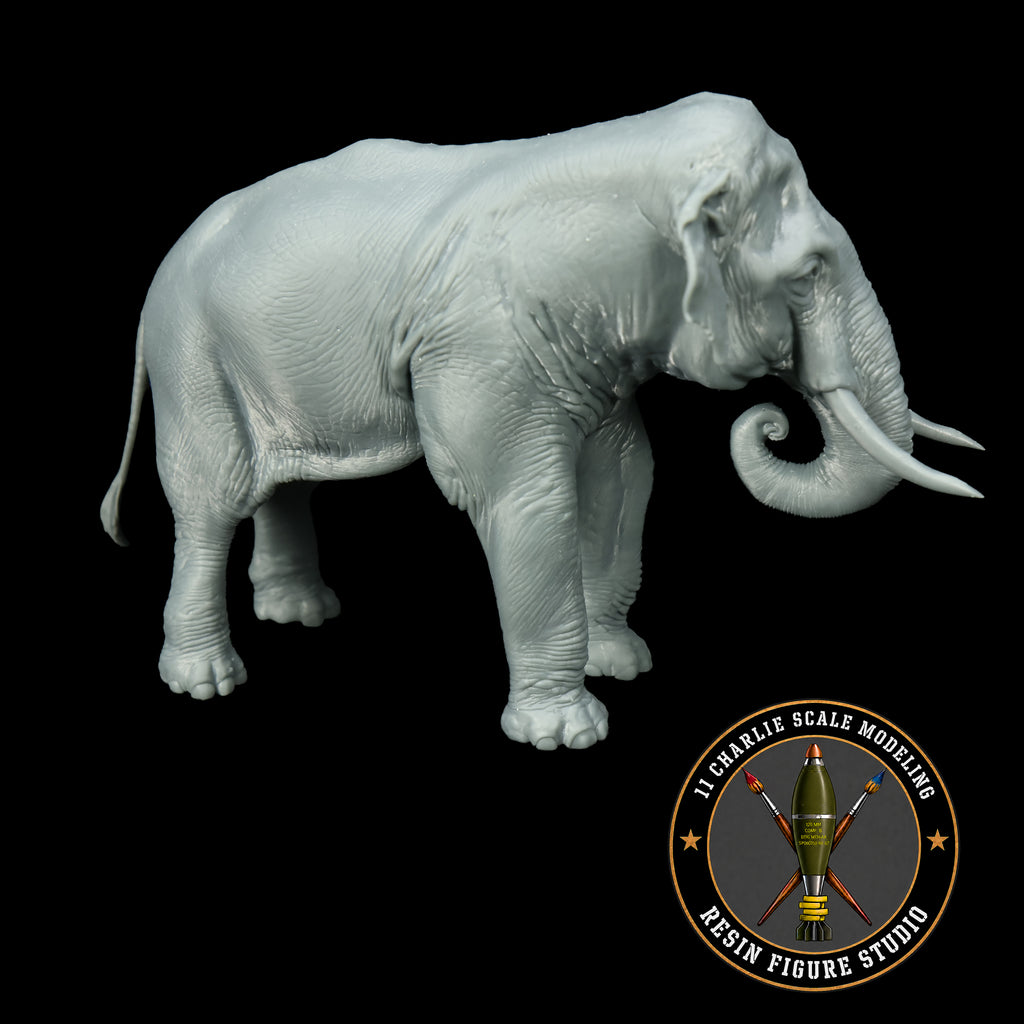 Single Asian Elephant- Neutral Trunk