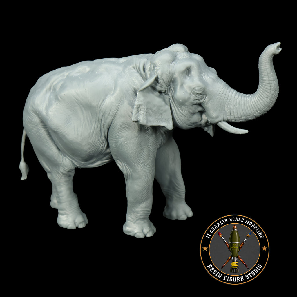 Single Asian Elephant- Raised Trunk