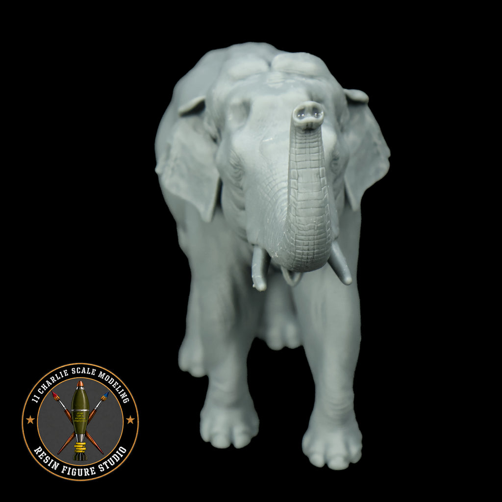 Single Asian Elephant- Raised Trunk