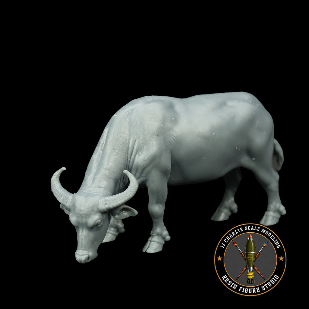 Single Asian Water Buffalo Option 2