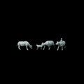 Four-Piece Set Asian Water Buffalo