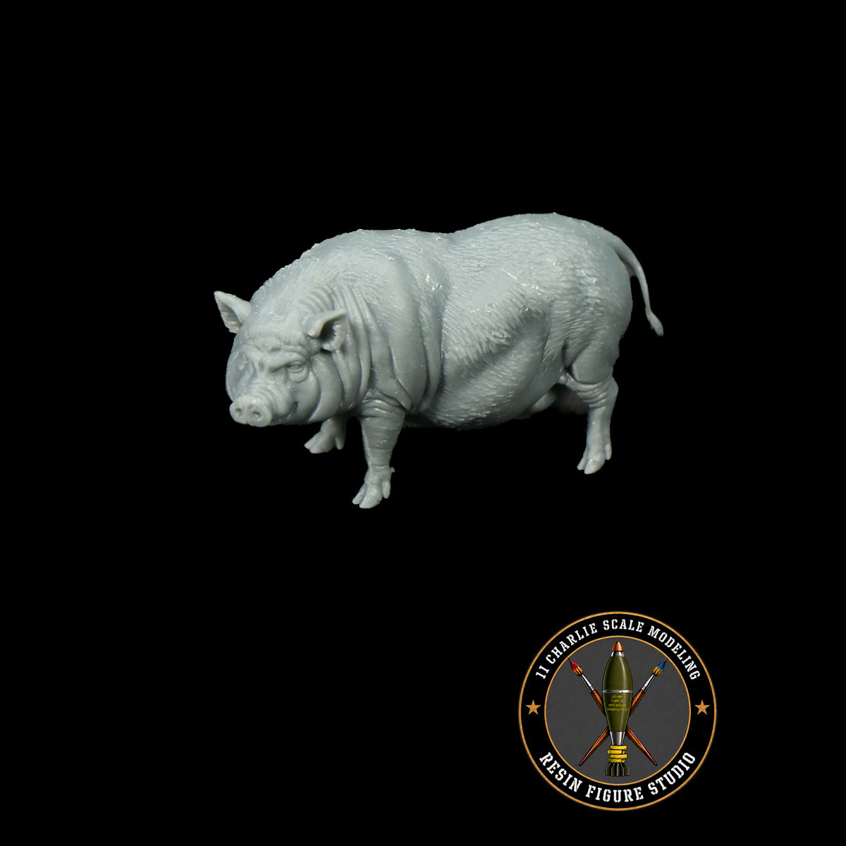 Vietnamese Potbelly Pig Option 1