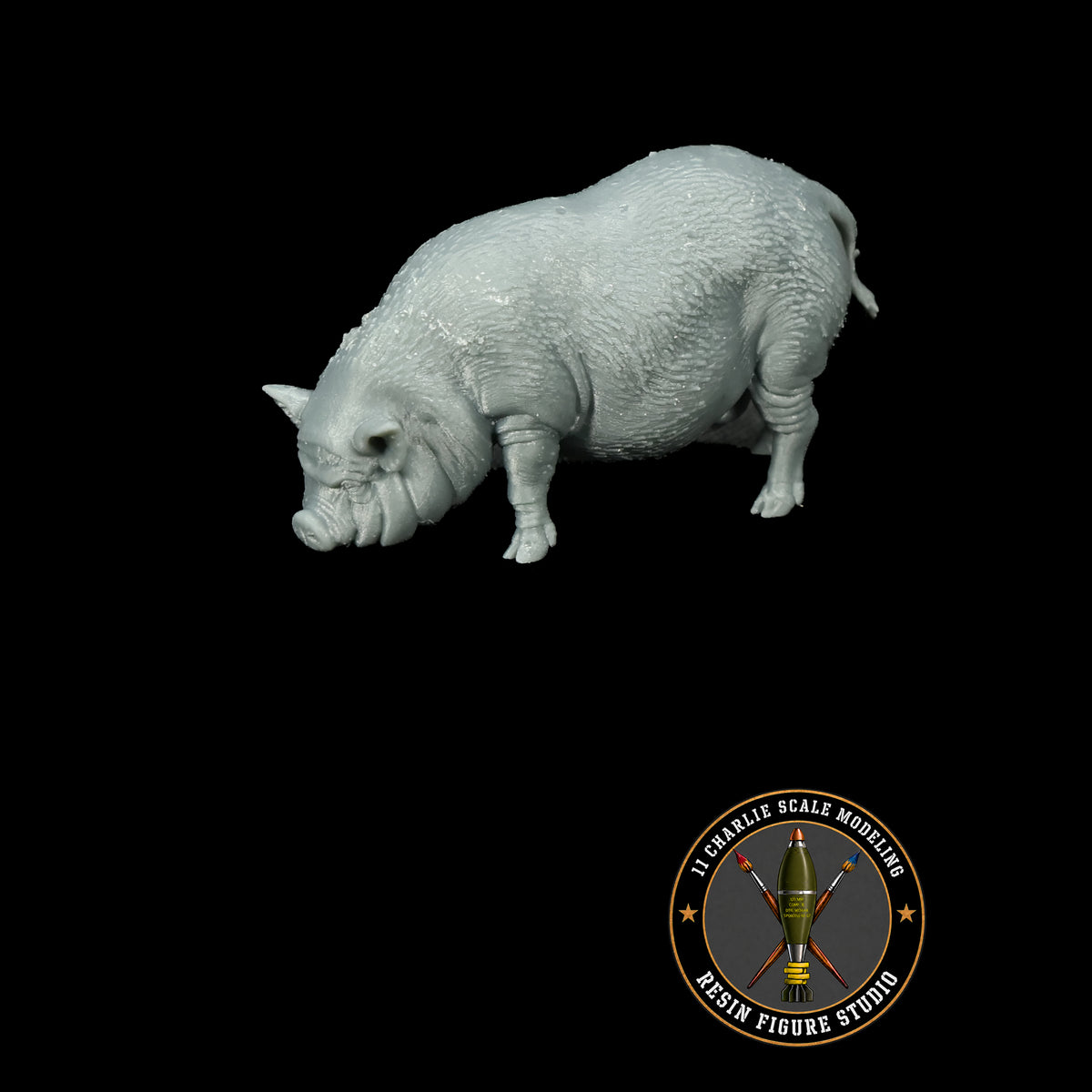 Single Vietnamese Potbelly Pig Option 2