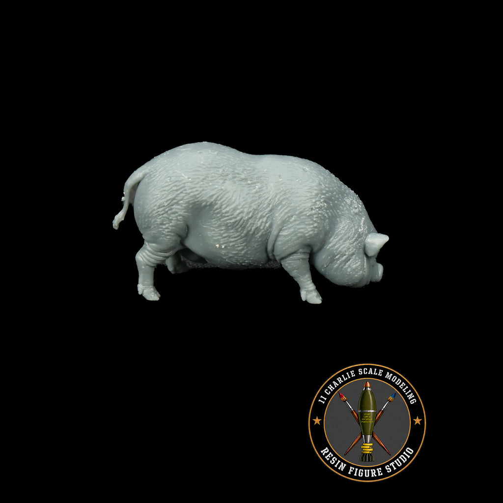 Single Vietnamese Potbelly Pig Option 2
