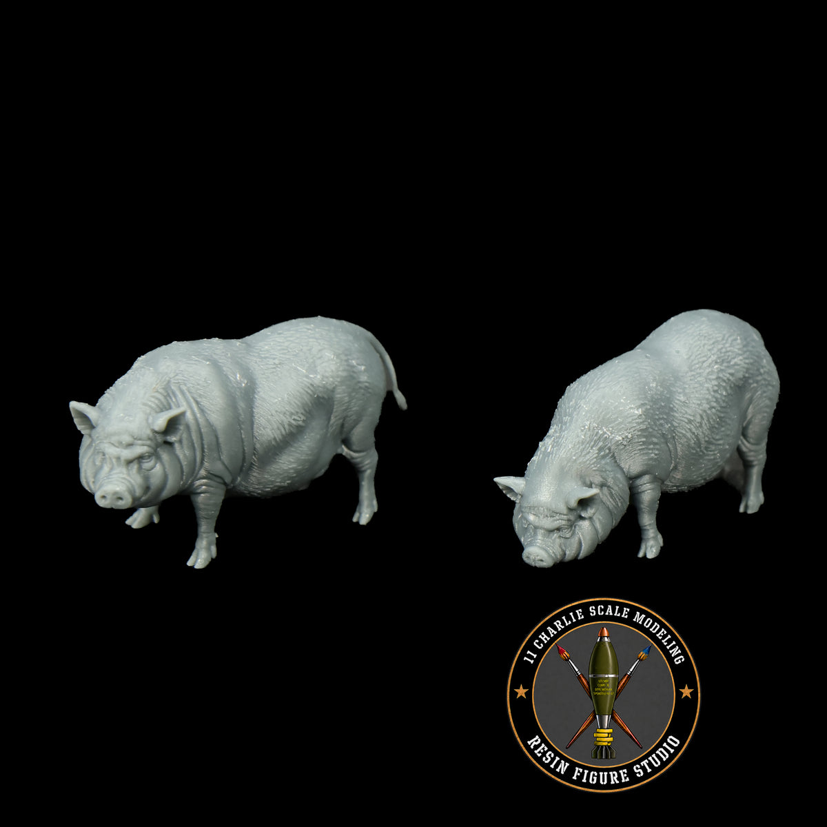 Set of Vietnamese Potbelly Pigs
