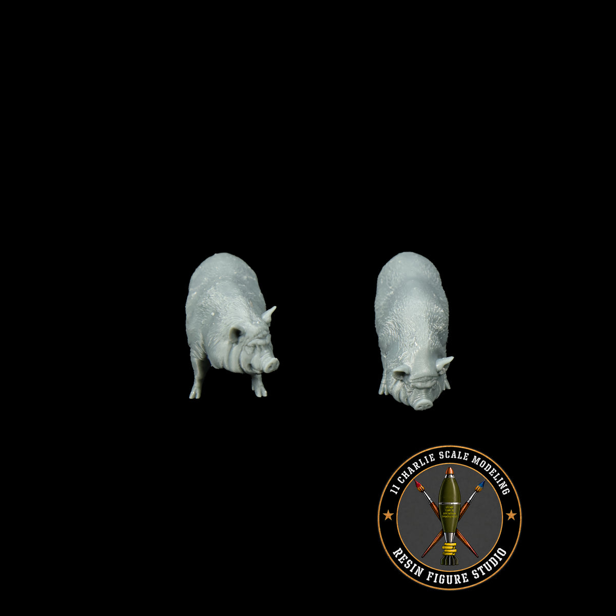 Set of Vietnamese Potbelly Pigs