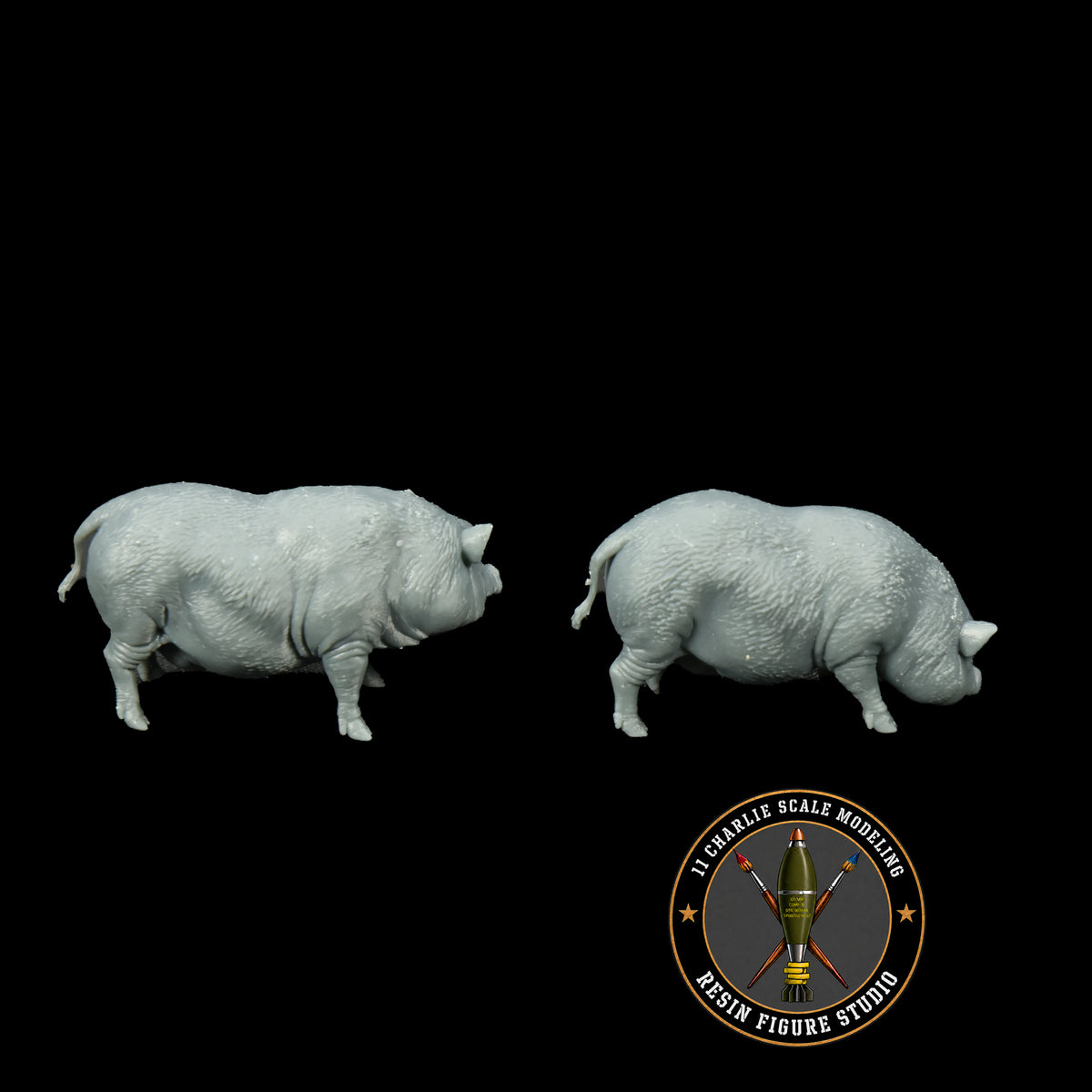 Set of Vietnamese Potbelly Pigs