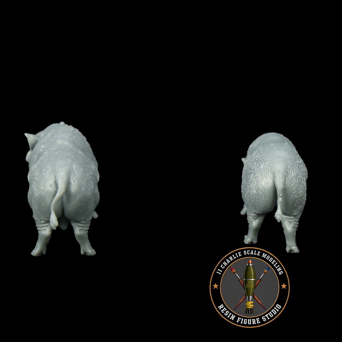 Set of Vietnamese Potbelly Pigs