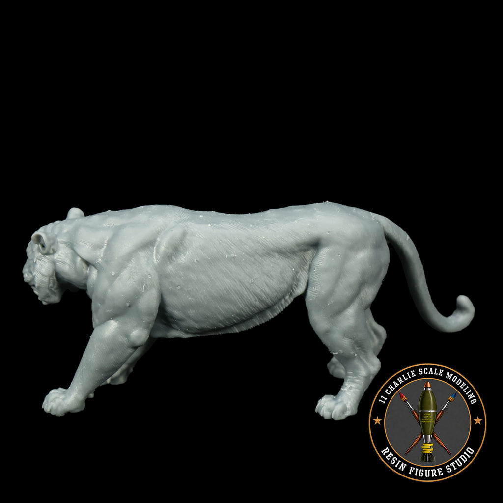 Single Indochinese Tiger