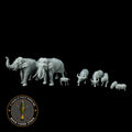 Complete Set Vietnamese Animals